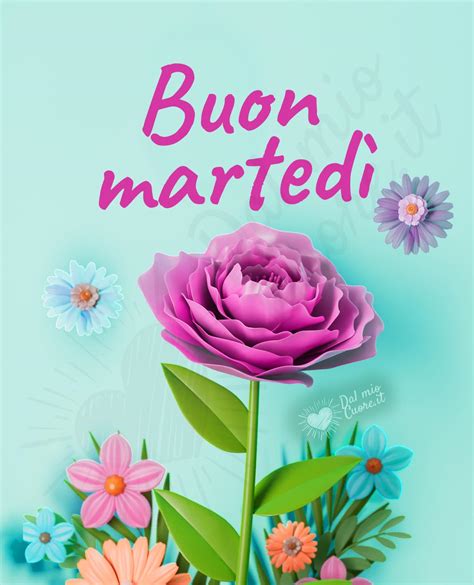 immagini bellissime buon martedì immagini nuove gratis